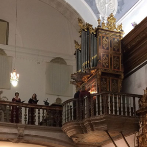 Órgão da Igreja do Carmo, Faro, tribuna
