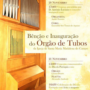 Órgão da Igreja de Santa Maria Madalena do Campo, Viseu