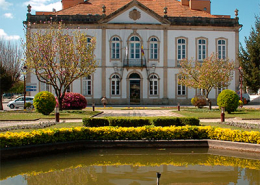 Albergaria-a-Velha, créditos Albergaria em Notícia
