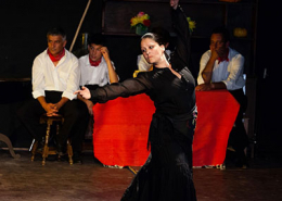 Escola de Dança Mónica Pombo - Estúdio Dois Passos