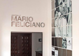 Auditório Mário Feliciano, Alpiarça