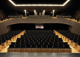 Teatro Virgínia, Torres Novas