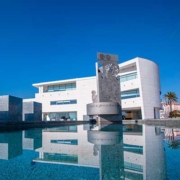 Oliveira do Bairro e a sua música Oliveira do Bairro